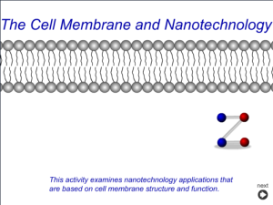 Screenshot for The Cell Membrane and Nanotechnology