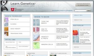 Screenshot for Learn Genetics: Genetic Science Learning Center