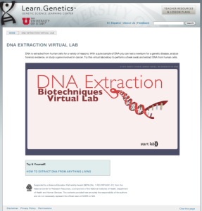 Screenshot for DNA Extraction Virtual Lab