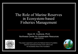 Screenshot for NCSR: The Role of Marine Reserves in Ecosystem-based Fishery Management