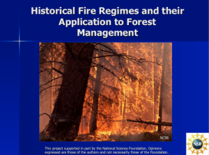 Screenshot for Historical Fire Regimes and Their Application to Forest Management