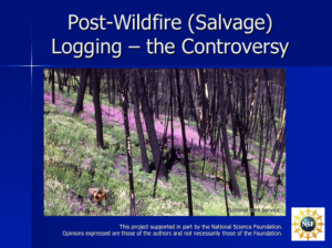 Screenshot for Post-Wildfire (Salvage) Logging - The Controversy