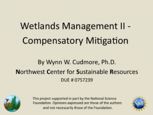 Screenshot for Wetlands Management II - Compensatory Mitigation