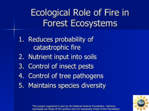 Screenshot for Ecological Role of Fire