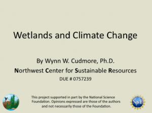 Screenshot for Wetlands and Climate Change