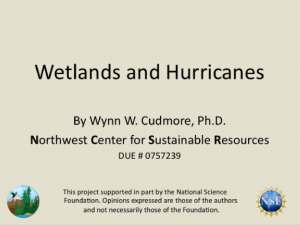 Screenshot for Wetlands and Hurricanes