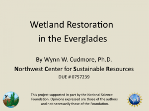 Screenshot for Wetlands Restoration in the Everglades