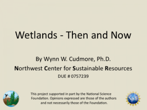 Screenshot for Wetlands - Then and Now
