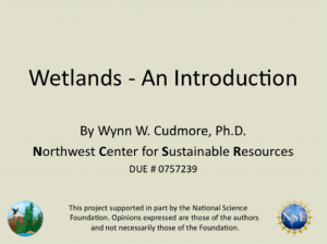 Screenshot for Wetlands - An Introduction