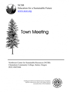 Screenshot for NCSR: Town Meeting - An Approach to Exploring Environmental Issues