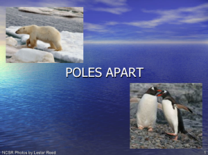 Screenshot for Poles Apart - A Pictorial Visit to the Arctic and Antarctic