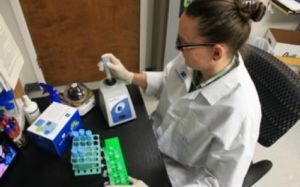 Jessica Zabloski, Research Associate at Bioo Scientific Corp., describes making ELISA kits in the Jobs sections of Biotech-Careers.org website. 