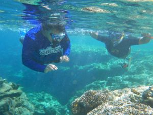 ATE-facilitated partnerships between faculty at the five Pacific Island colleges, employers, and researchers provide career opportunities for students such as the one-week QUEST course that trained American Samoa Community College students for marine resource management.