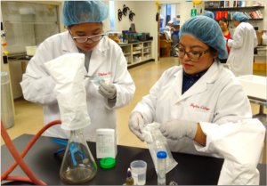 InnovATEBIO will build on BABEC’s BioScope Project. This project developed a supply chain that involves community college students honing their biotech skills while creating biotech kits for high school labs.