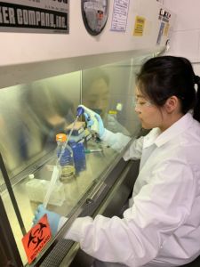 Christina Lee, a Pasadena City College student, completed biotechnology tasks at Oak Crest Institute of Science.