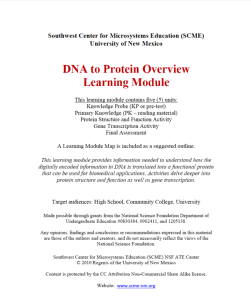 Screenshot for DNA to Protein Learning Module