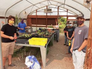In-person classes in Allan Hancock College’s greenhouse and farm in fall 2020 helped grow ag science enrollments.