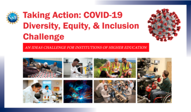 Taking Action: COVID-19 Diversity, Equity, & Inclusion Challenge: An ideas challenge for institutions of higher ed