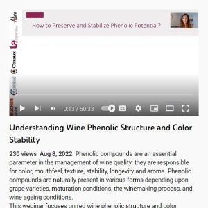 Screenshot for Understanding Wine Phenolic Structure and Color Stability