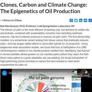 Screenshot for Clones, Carbon, and Climate Change: The Epigenetics of Oil Production
