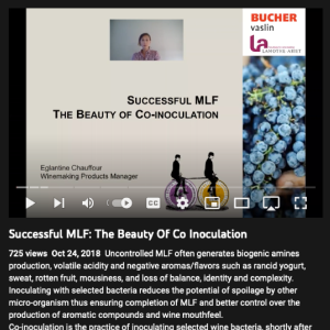 Screenshot for Successful MLF: The Beauty Of Co-Inoculation