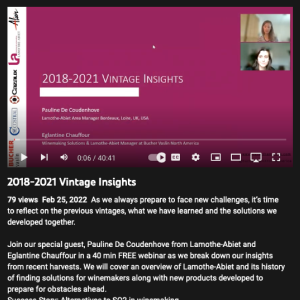 Screenshot for 2018-2021 Vintage Insights