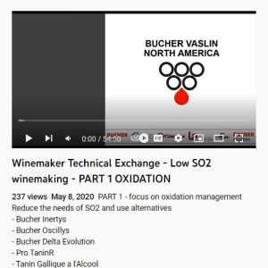 Screenshot for Winemaker Technical Exchange: Low SO2 Winemaking, Oxidation (1 of 2)