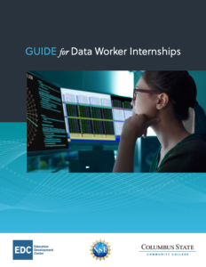 Screenshot for Guide for Data Worker Internships