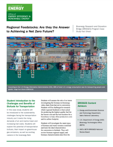Screenshot for Regional Feedstocks: Are they the Answer to Achieving a Net Zero Future?