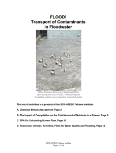 Screenshot for FLOOD! Transport Contaminants in Floodwater