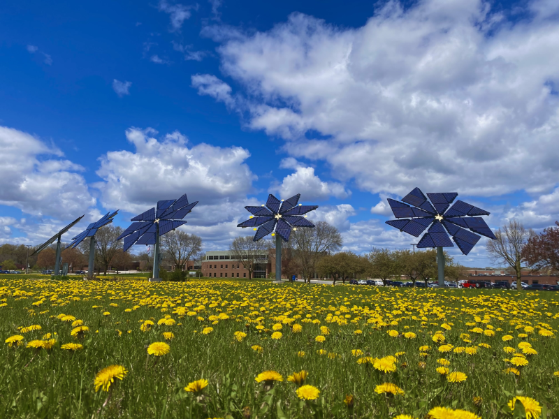 solar flower arrays