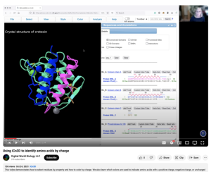 Screenshot for Using iCn3D to Identify Amino Acids by Charge