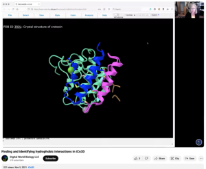 Screenshot for Finding and Identifying Hydrophobic Interactions in iCn3D