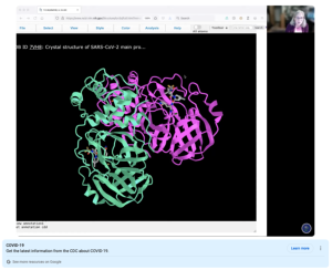 Screenshot for Drug Discovery 1: How Does the New SARS-CoV-2 Protease Inhibitor Block Protease Activity?