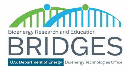 The logo for the the Bioenergy Research Education and Bridge (BRIDGES) Program 