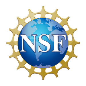 The official NSF logo