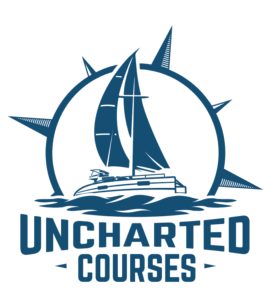 The graphic logo for the WDI 2025: Uncharted Courses